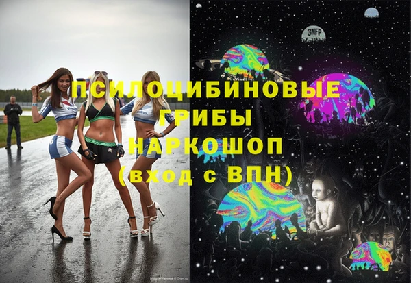 mix Богородск
