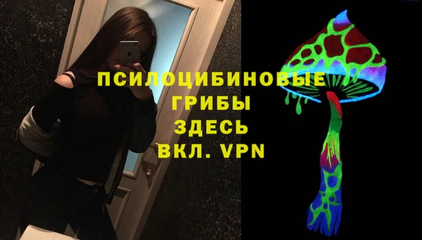 не бодяженный Богданович