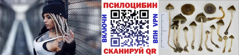 Галлюциногенные грибы мухоморы  Верхоянск 